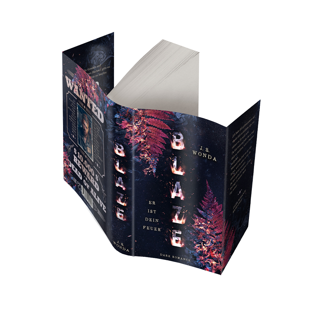 Blaze Taschenbuch