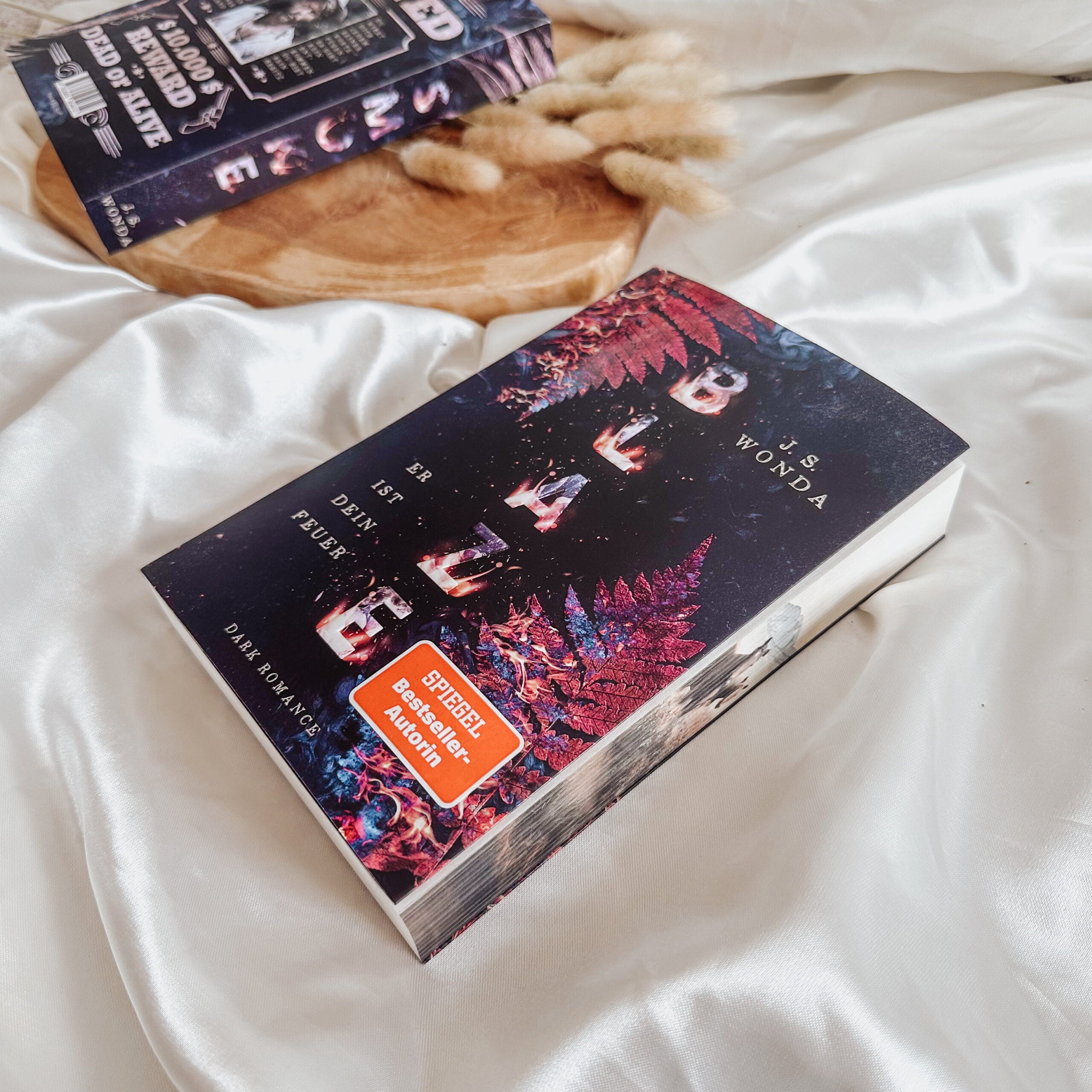 Blaze Taschenbuch