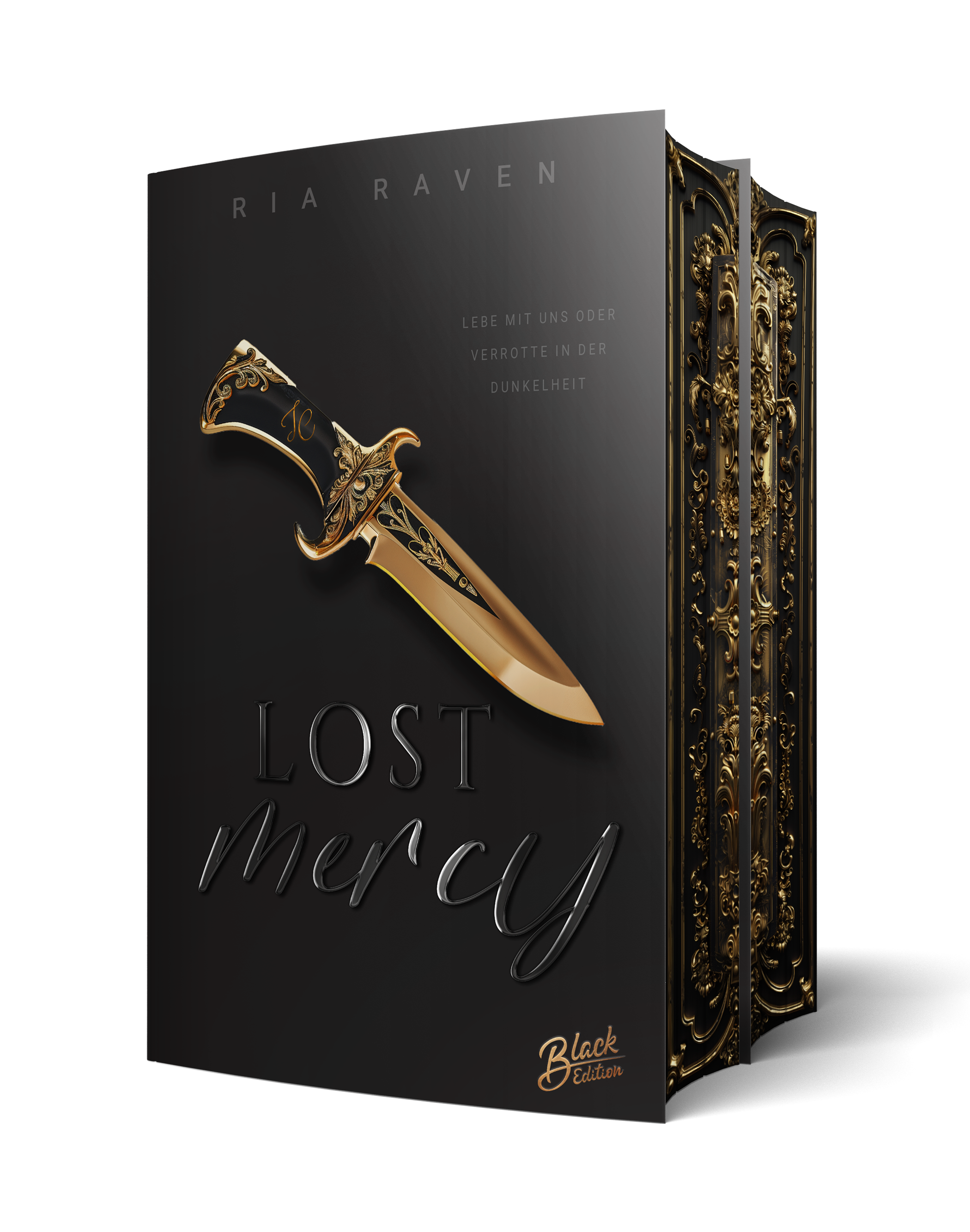 Lost Mercy