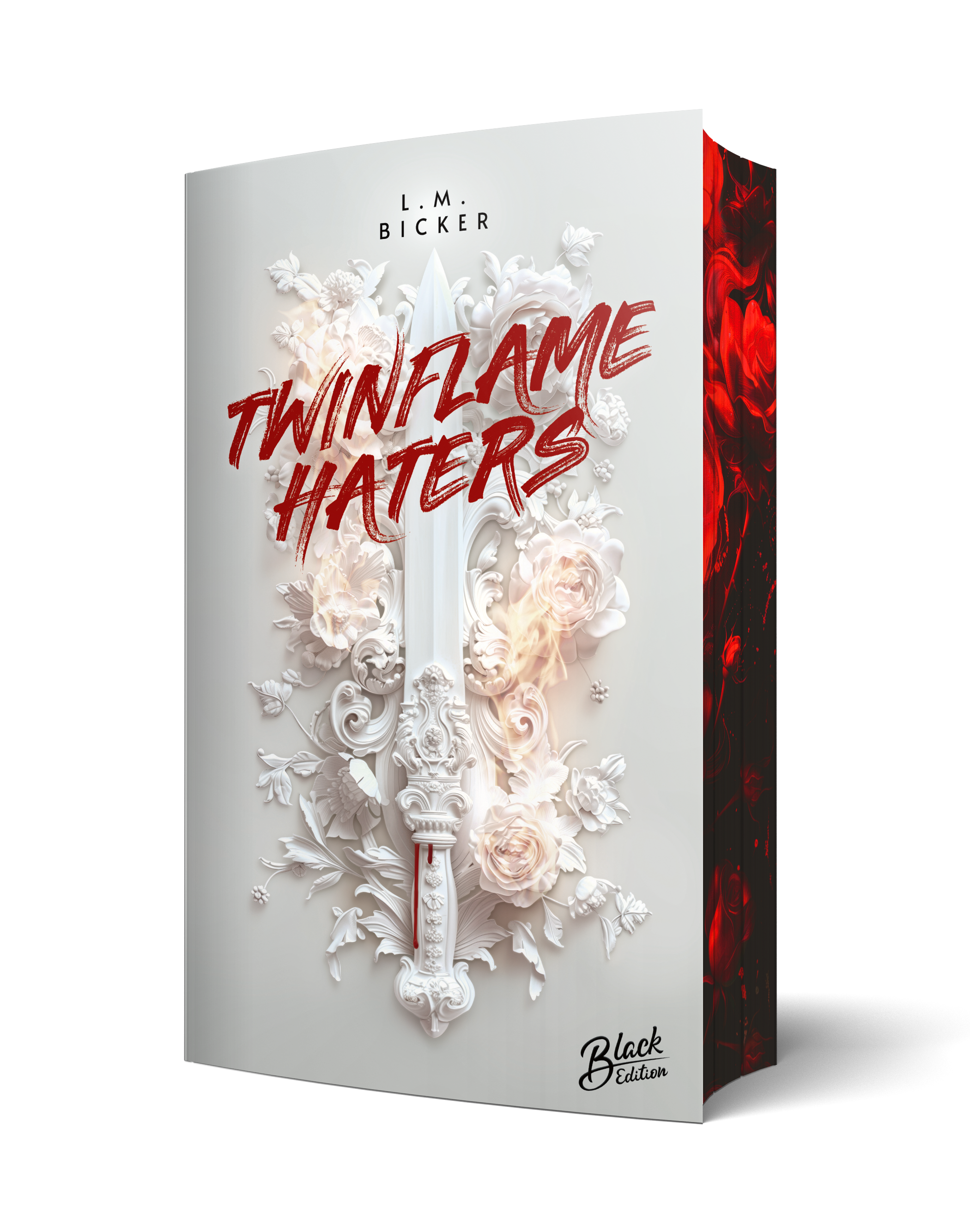 Twinflame Haters